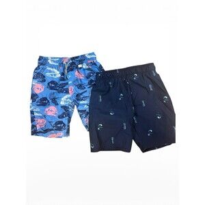Boys Swim Trunks Lot Size 4/5 cat and jack dinosaur & Hurley Board Shorts EUC